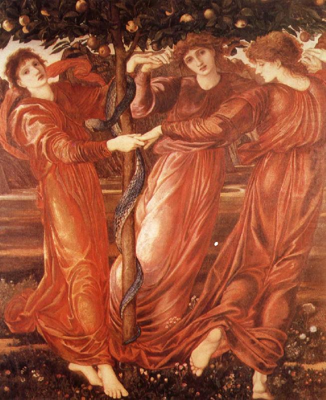 Sir Edward Coley Burne-Jones The Garden of the Hesperides china oil painting image